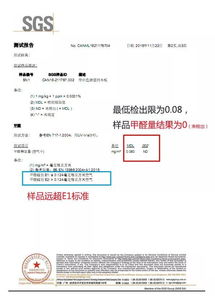 9億元筑就世界級家具木作智造基地 投資管理與產業升級新標桿