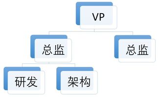 五維協同 研發、產品、架構、業務與項目管理下的多元組織架構建設與市場營銷策略融合